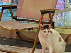 -金轮星光名座生活广场