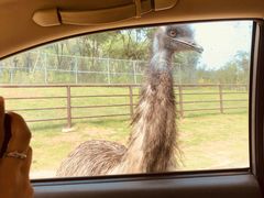 -南京金牛湖风景区