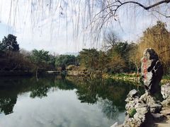 -西湖外事游船(花港观鱼码头)