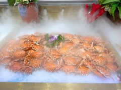 -红透天牛排海鲜自助(长和国际直营店)