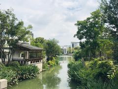 -湘湖金融镇