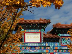 -迎泽公园