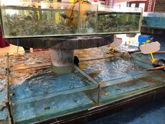 水产区-天鲜阁·海鲜粤菜·33年老字号(石槎白云站店)