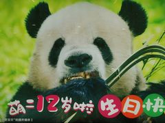 -动物园(地铁站)