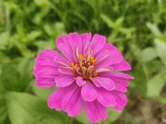 -花开海上生态园