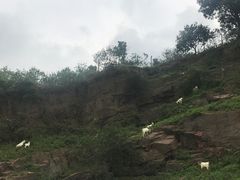 -湖鲜楼