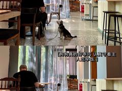 -花马天堂云南餐厅 Lost Heaven(外滩店)