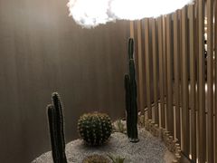 -水裹汤泉生活馆餐厅