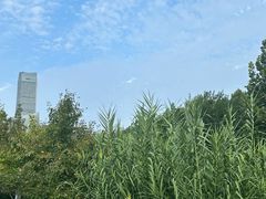 -1937青岛老味道·海肠捞饭·青岛菜(大鲍岛栈桥店)