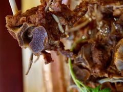 -芦月轩羊蝎子(北蜂窝店)