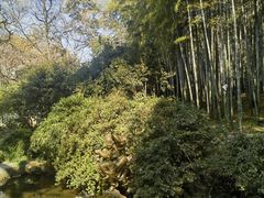 -杭州黄龙洞