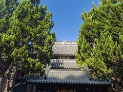 -秋霞圃