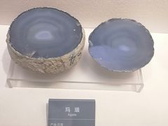 -安徽省地质博物馆