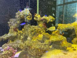 -丽美妍医疗美容·皮秒·立体分层抗衰