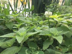 -白鹭湾湿地公园