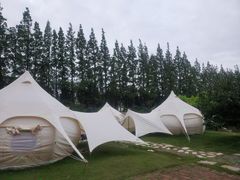 -前小桔亲子创意农场·草莓采摘·露营烧烤