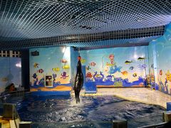 -太平洋海底世界