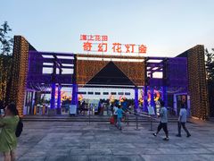 -杭州湾海上花田景区