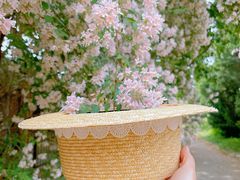 -国家植物园南园