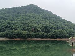 -桃花岭景区