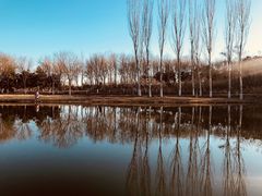 -大兴滨河森林公园