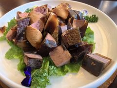 -印象高密·凤都国际大酒店