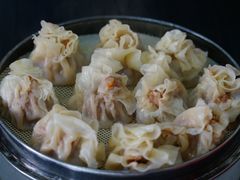 牛肉烧麦-北三沙家烧麦(北头道街店)