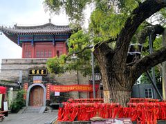 -洛阳周公庙博物馆