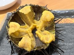 活海胆-海胆小馆(春柳店)