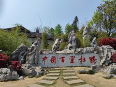 -贵州百里杜鹃风景名胜区