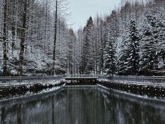 -山王坪喀斯特国家生态公园
