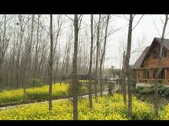 -合肥滨湖国家森林公园