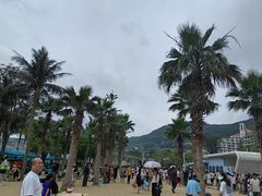 -大梅沙海滨公园