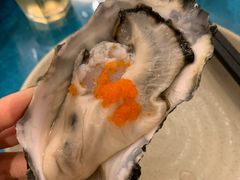 法式刺身生蚝-千岛蚝高压锅生蚝·人参火锅(白云万达店)