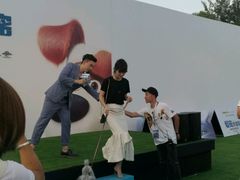 -枫花园汽车电影院(朝阳公园店)