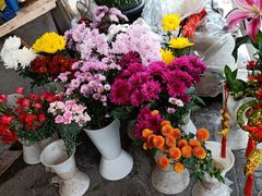 -厦门第七菜市场