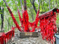 -帽儿山风景区