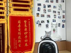 -瑞派中心宠物医院·CT·核磁·神经专科