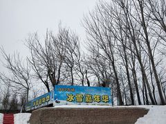 -1982农场