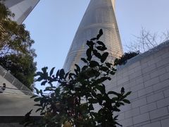 -上海中心大厦