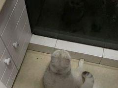 -悠尼宠物·独立低压伊珊娜洗护·美容·寄养(兰谷路店)