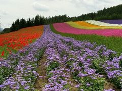 android_upload_pic-富田农场