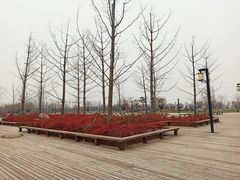 -汉长安城未央宫国家考古遗址公园