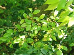 -宁波五龙潭景区