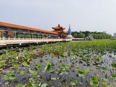 -南戴河国际娱乐中心