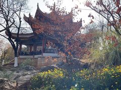 -昆明动物园