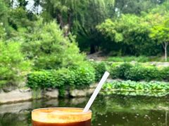 -三忘湖 SWANSEEN(柳荫公园店)