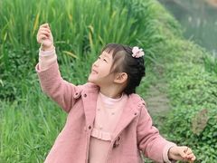-两河城市森林公园