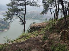 -铁山坪森林公园