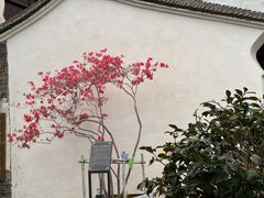 -月栖华明-云间草堂清茶馆(泗泾古镇店)